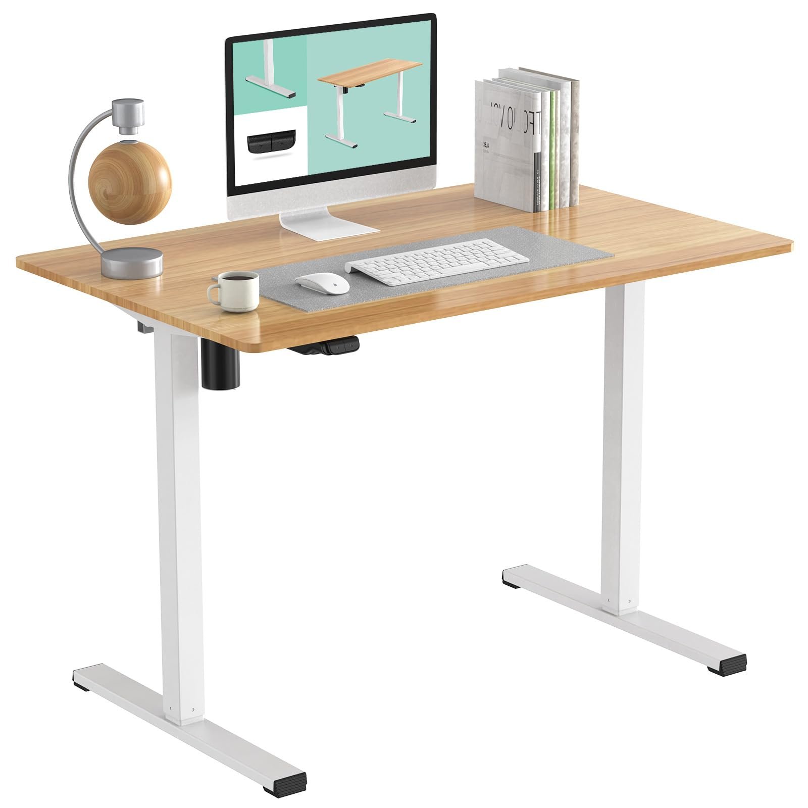 FLEXISPOT Standing Desk